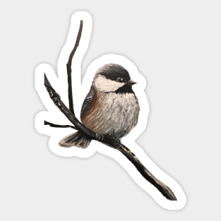 Chickadee Graphic Sticker